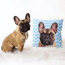 Charger l'image dans la galerie, Coussin